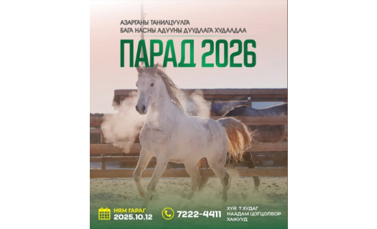Англи, араб азарганд гүүгээ хураалгавал 20 сая төгрөгийн үнэтэй байна