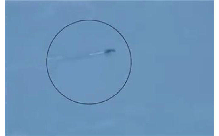 Пэгдүсан уулын нууранд хачирхалтай амьтан илэрсэн үү?