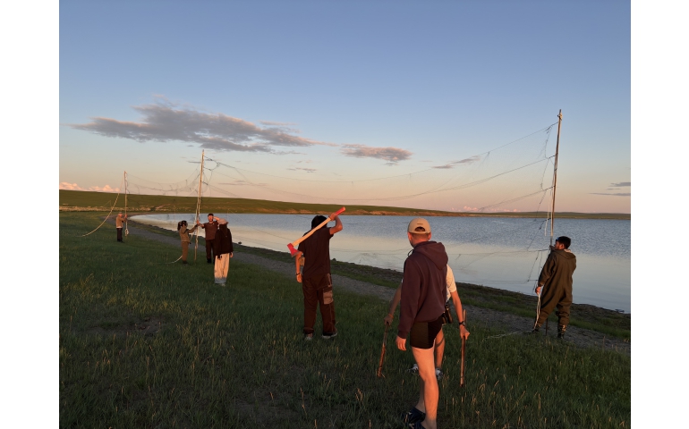 Дорнод: Чух нуурын эргээр дайран өнгөрсөн 203 шувууг барьж бөгжилжээ
