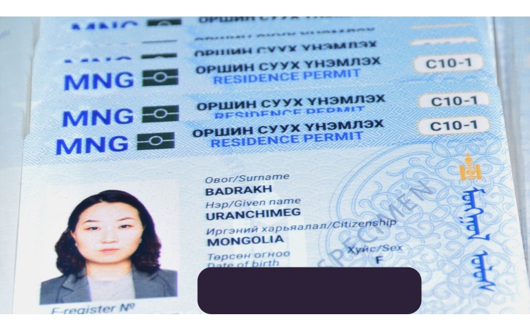 Монгол улс бүх ангиллын визийг цахимаар олгоно
