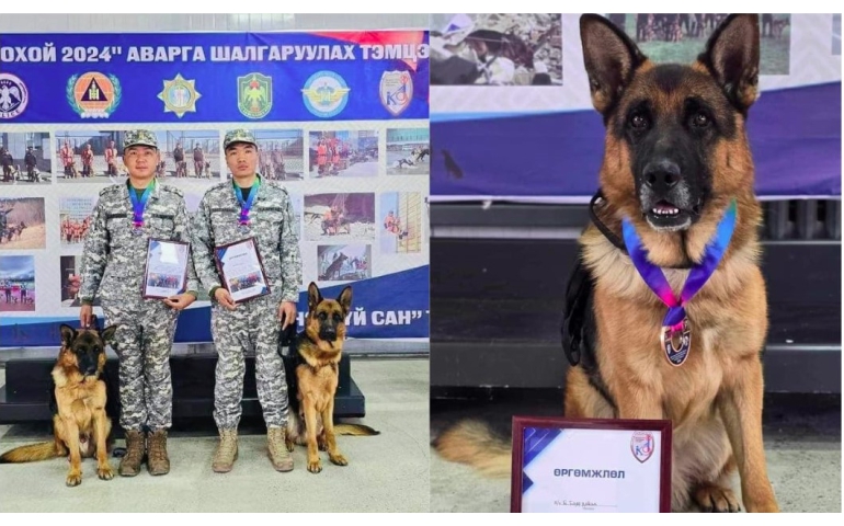 Туркийн газар хөдлөлтөд үүрэг гүйцэтгэсэн "Балу" албаны нохдын тэмцээнээс хүрэл медаль хүртэв